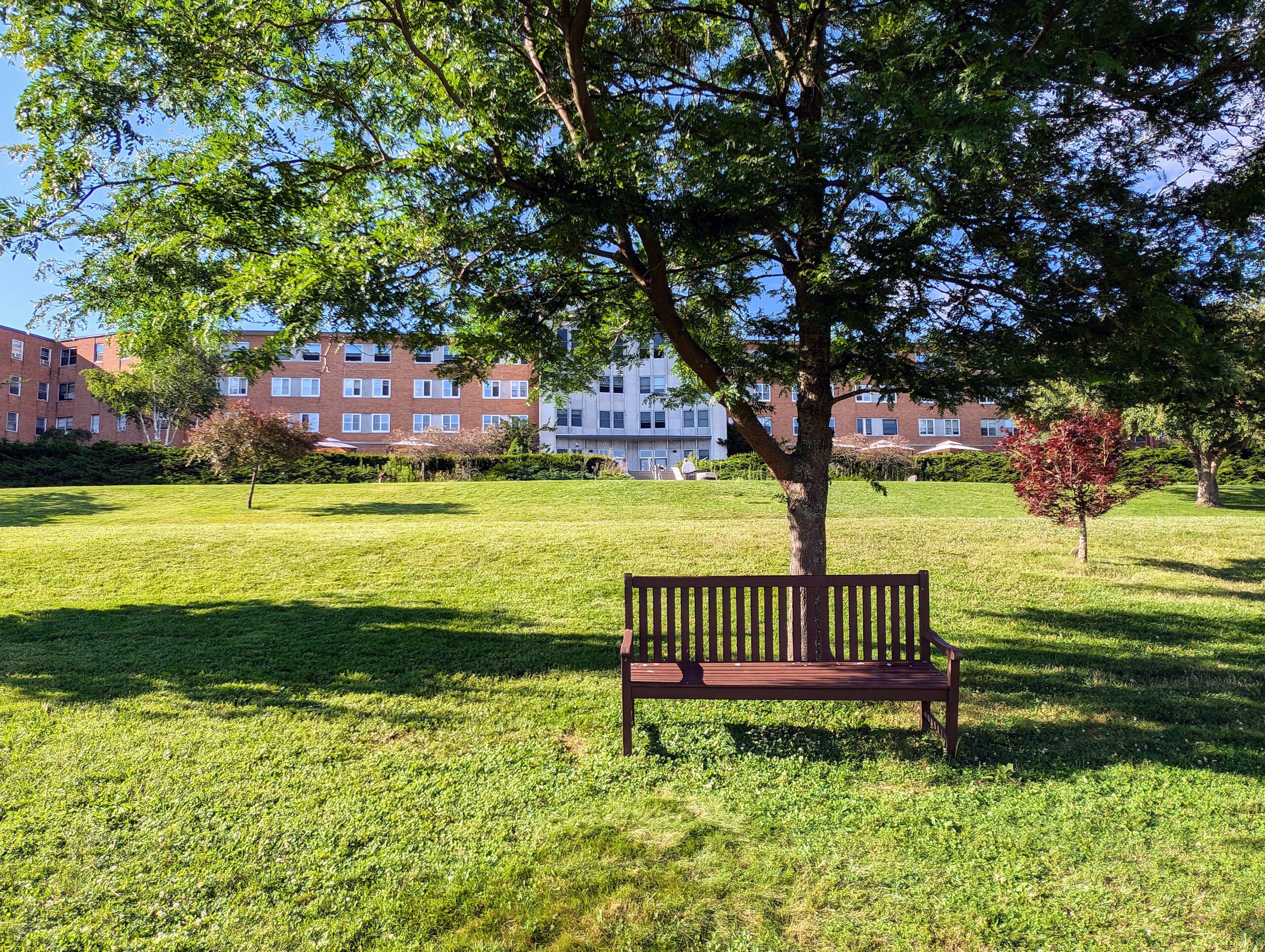 Kripalu-Foto mit der Ruhebank